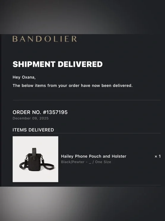 Hailey pouch and phone holster - Picture 4 of 4